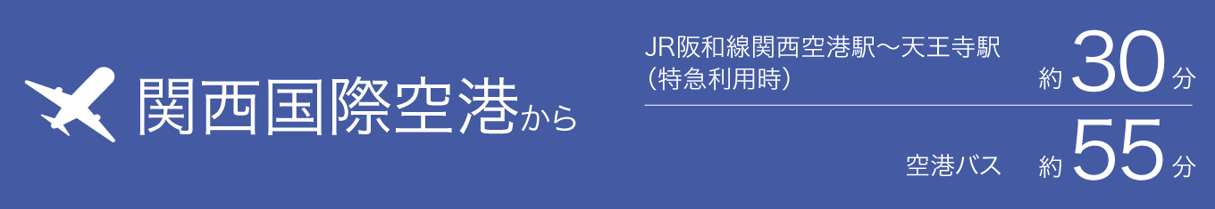 JR阪和線天王寺～関西空港（※）約30分　空港バス約55分