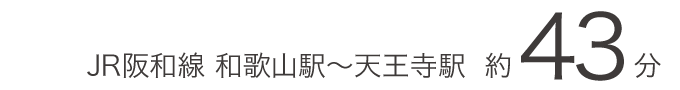 JR阪和線 和歌山駅〜天王寺駅 約43分