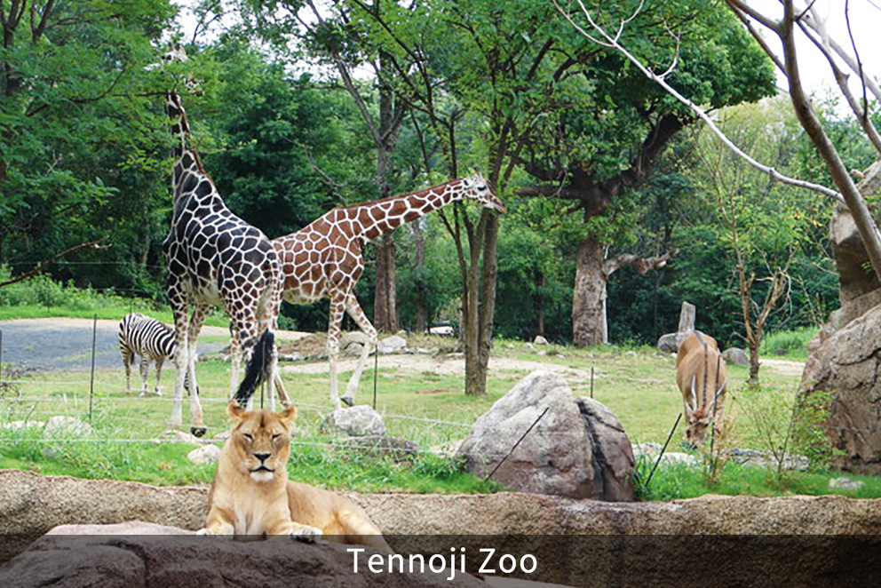 Tennoji Zoo