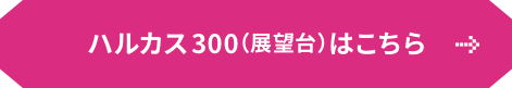 ハルカス300（展望台）はこちら