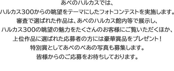 あべのハルカスでは、ハルカス300からの眺望をテーマにしたフォトコンテストを実施します。審査で選ばれた作品は、あべのハルカス館内等で展示し、ハルカス300の眺望の魅力をたくさんのお客様にご覧いただくほか、上位作品に選ばれた応募者の方には豪華賞品をプレゼント！特別賞としてあべのべあの写真も募集します。皆様からのご応募をお待ちしております。