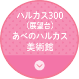 ハルカス300（展望台）あべのハルカス美術館