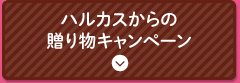ハルカスからの贈り物キャンペーン