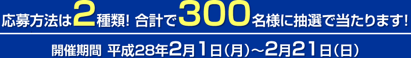応募方法は2種類！ 合計で300名様に抽選で当たります！ 開催期間 平成28年2月1日（月）～2月21日（日）