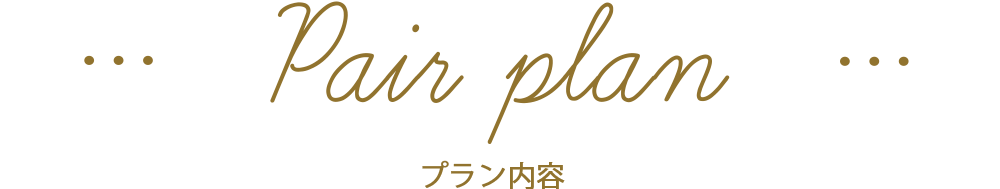 プラン内容