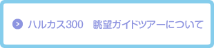 ハルカス３００　眺望ガイドツアーについて