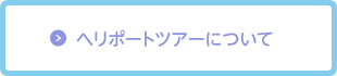 ヘリポートツアーについて