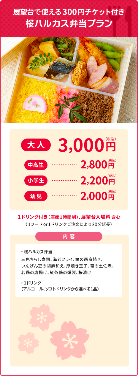 展望台で使える300円チケット付き 桜ハルカス弁当プラン