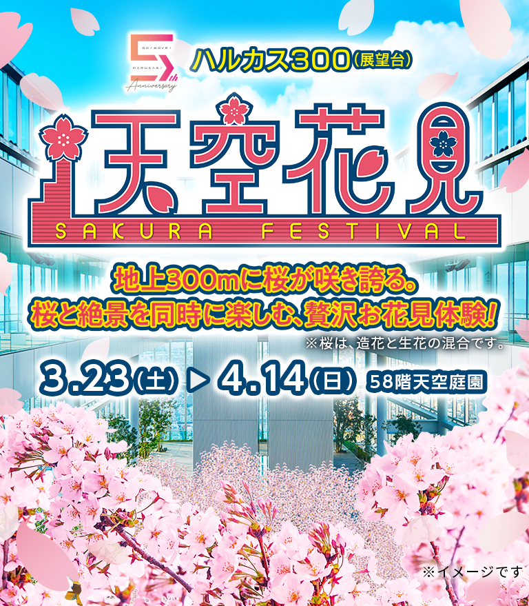 ハルカス300(展望台) 天空花見SAKURA FESTIVAL 地上300mに桜が咲き誇る。桜と絶景を同時に楽しむ、贅沢お花見体験！※桜は造花と生花の混合です。3.23（土）→4.14（日）58階天空庭園