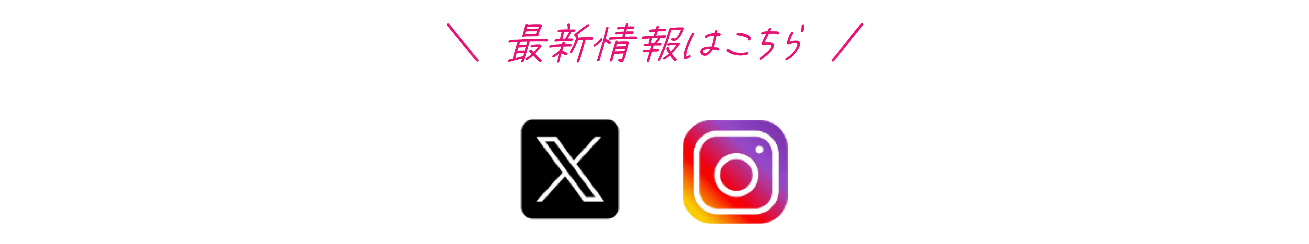 最新情報はこちら