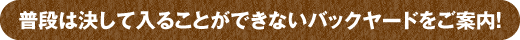 普段は決して入ることができないバックヤードをご案内！