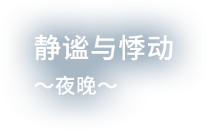 静谧与悸动〜夜晚〜